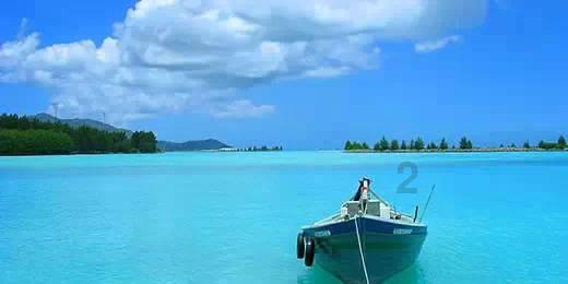 海报|一村一院皆美景